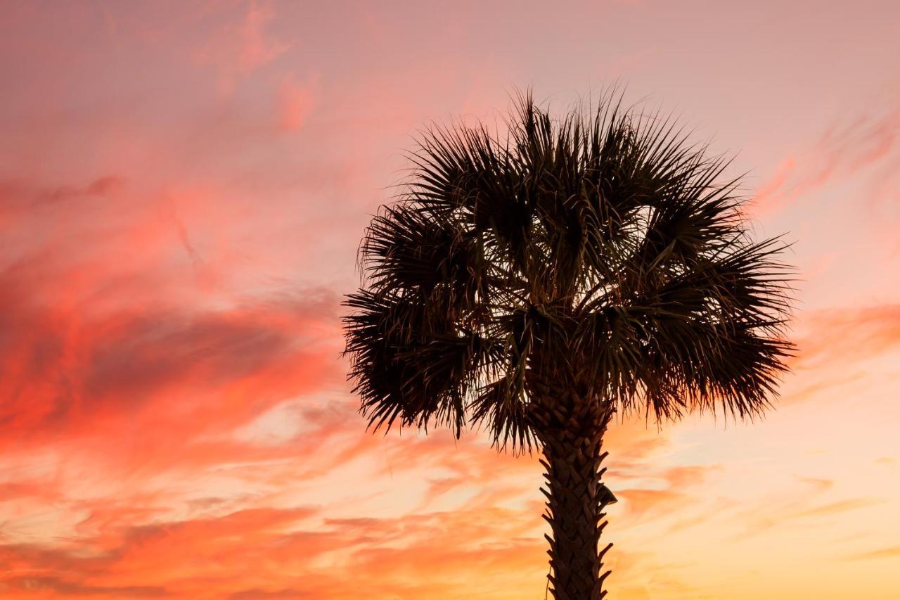 1314 Pelican Watch - Seabrook Island - Beachfront 5 Star Condo - Fido Friendly Exterior foto